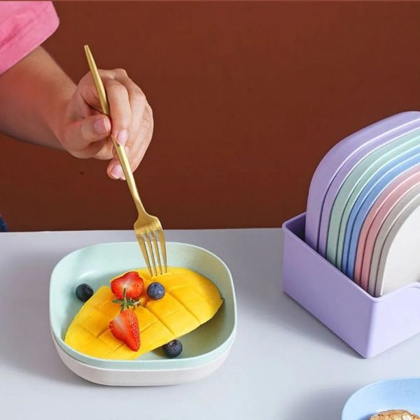 10 pcs Multi-function Elliptical Spit Bone Plate Set