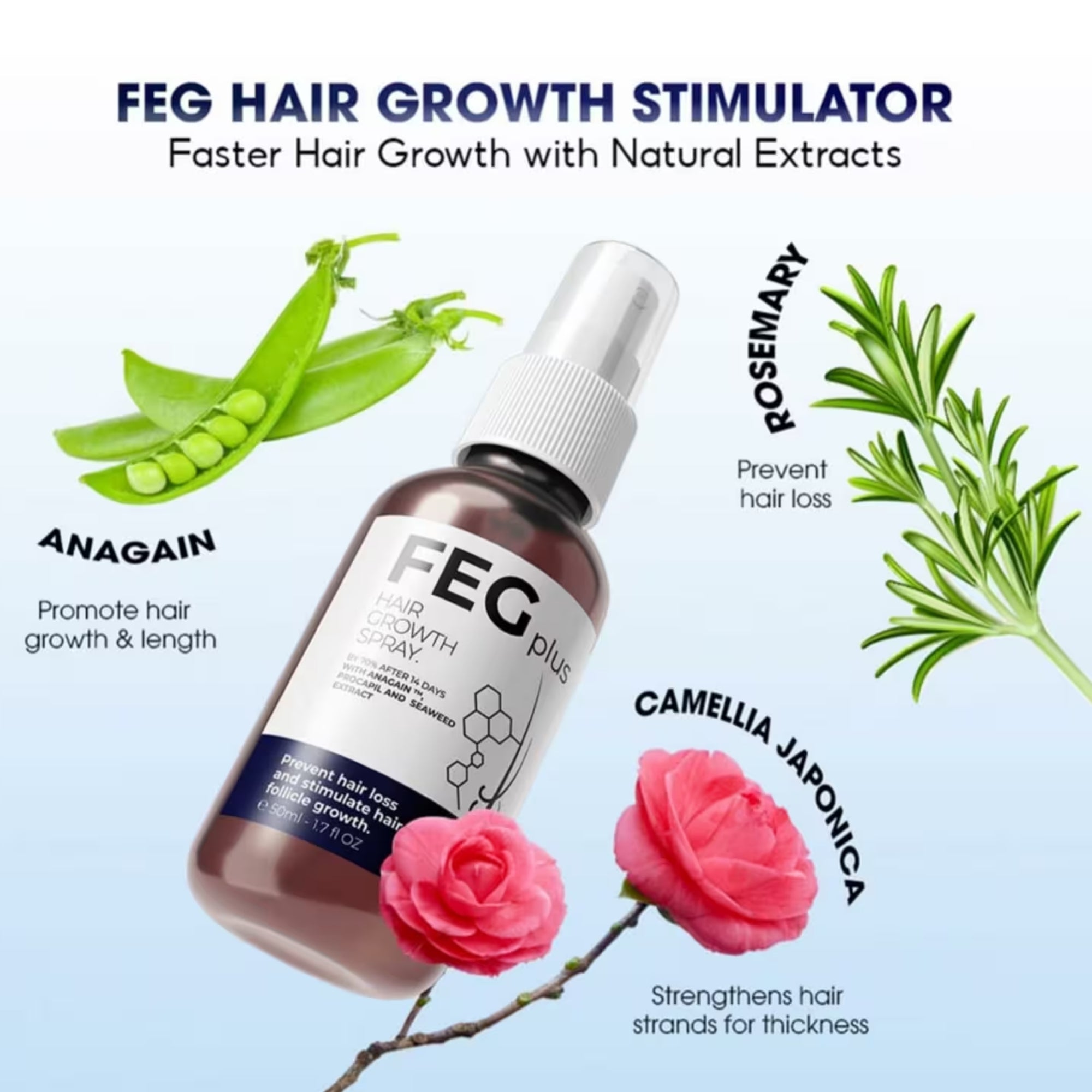 Anti-Hair Loss & Regrowth Solution